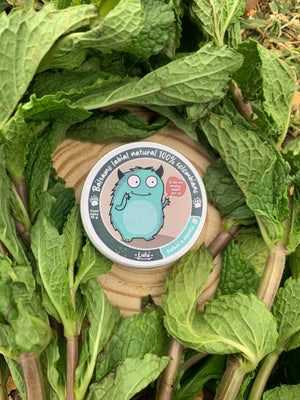 Bálsamo Menta en tarrito cerrado con hojas de menta alrededor