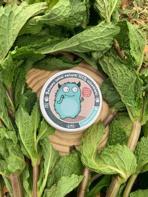 Bálsamo Menta en tarrito cerrado con hojas de menta alrededor